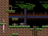 Blaster Master - Nintendo