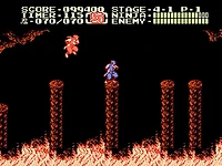 Ninja Gaiden II: The Dark Sword of Chaos - Nintendo