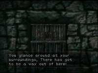 Shadowgate 64: Trials of the Four Towers - Nintendo 64