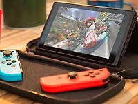 Carrying Case for Nintendo Switch (Styles May Vary