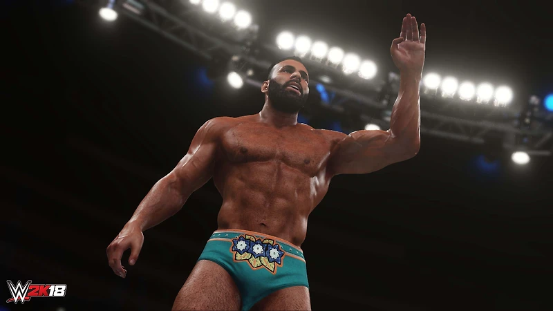 WWE 2K18 - PlayStation 4