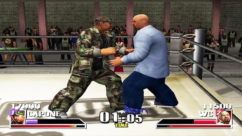 Def Jam Vendetta - GameCube