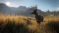 Hunter: Call of the Wild - PlayStation 4