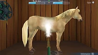 My Riding Stables:Life with Horses - Nintendo Switch