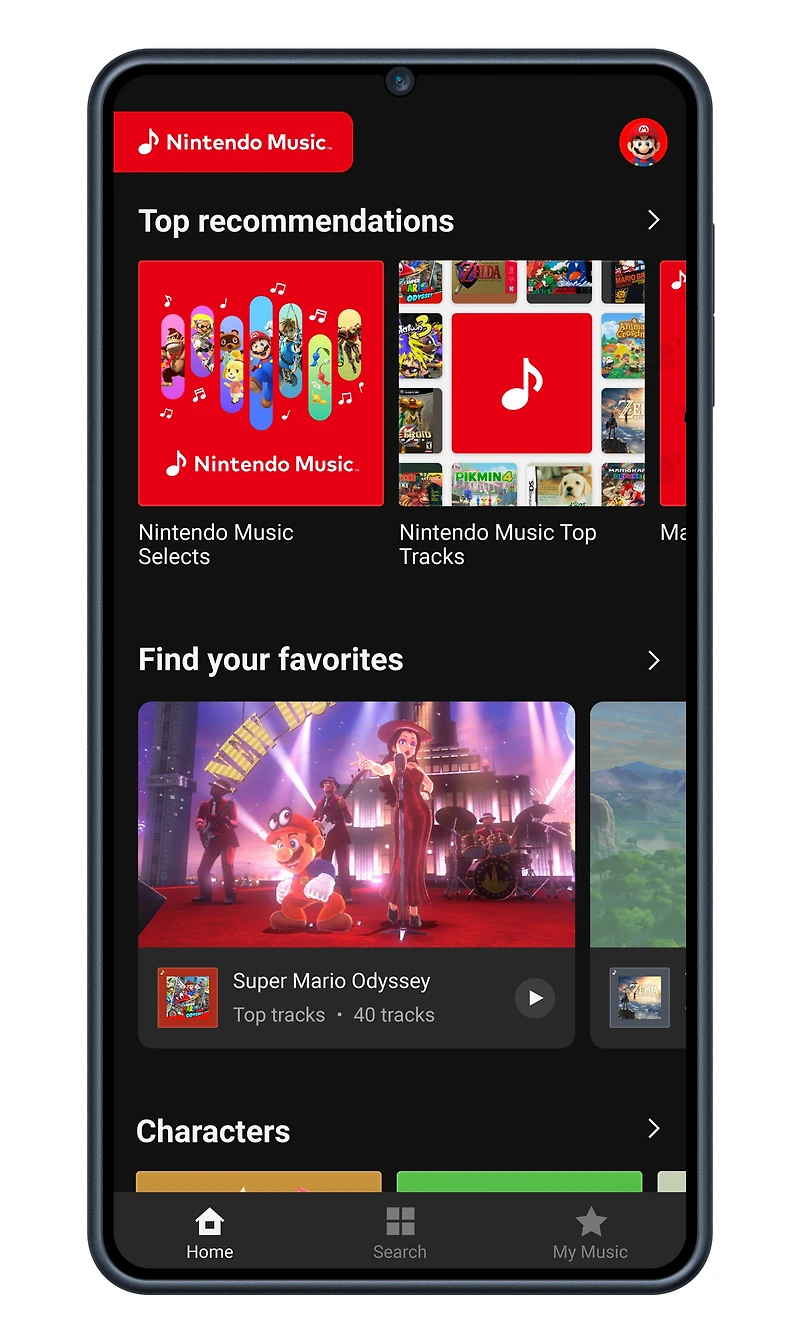 Nintendo Switch Online Membership 12 Month