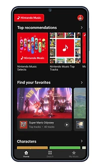 Nintendo Switch Online Membership 12 Month