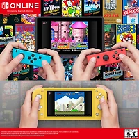 Nintendo Switch Online Membership 3 Month