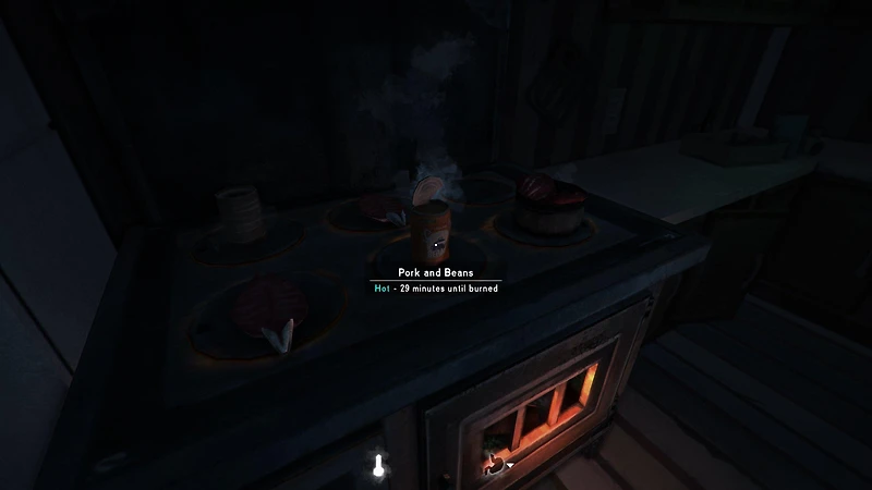 The Long Dark - PlayStation 4