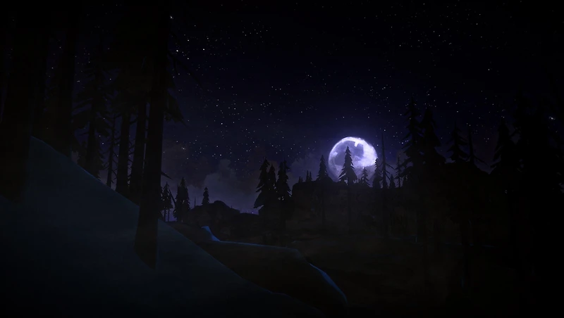 The Long Dark - PlayStation 4