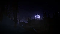 The Long Dark - PlayStation 4