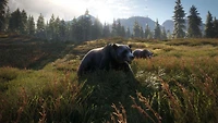 The Hunter: Call of the Wild 2019 Edition - PlayStation 4