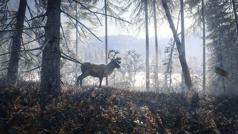 The Hunter: Call of the Wild 2019 Edition - PlayStation 4