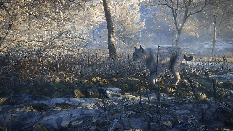 The Hunter: Call of the Wild 2019 Edition - PlayStation 4