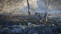 The Hunter: Call of the Wild 2019 Edition - Xbox One