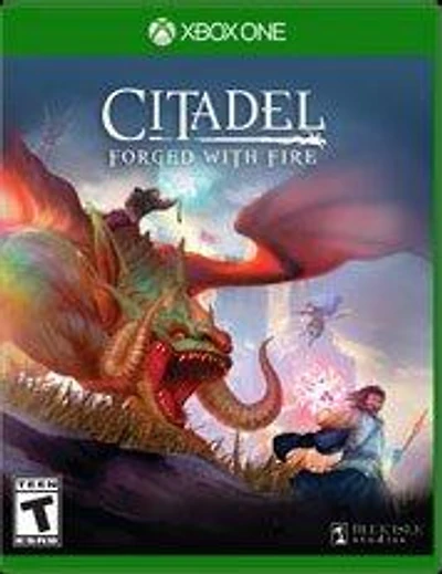 Citadel: Forged with Fire