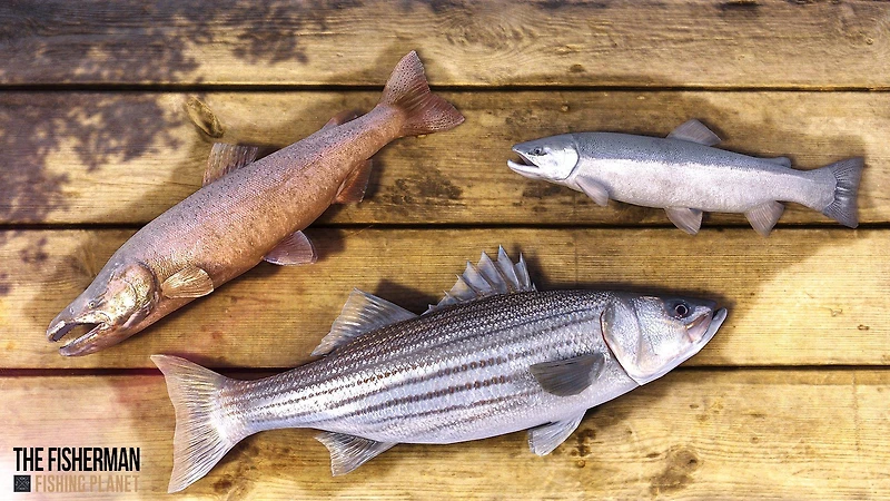 The Fisherman: Fishing Planet - Xbox One