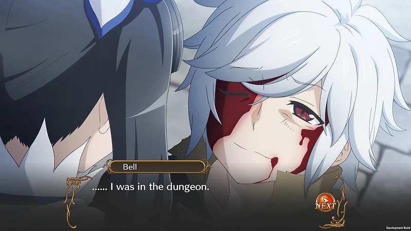 Is It Wrong to Try to Pick Up Girls in a Dungeon? Infinite Combate - PlayStation 4
