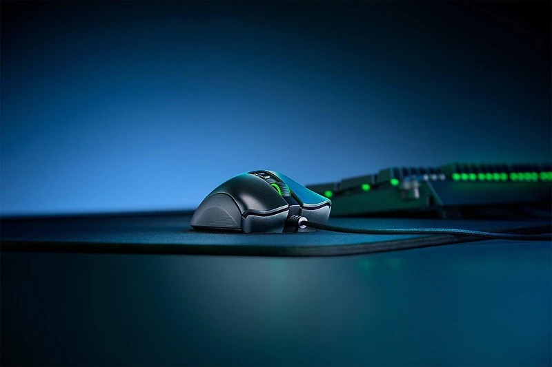Razer DeathAdder V2 Wired Gaming Mouse