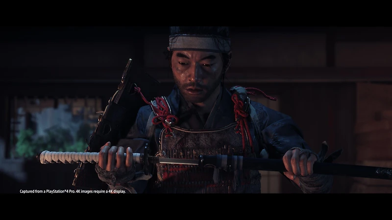 Ghost of Tsushima Director's Cut - PC Steam