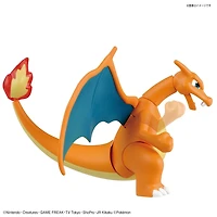 Pokemon Charizard and Dragonite Model Kit