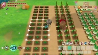 Story of Seasons: Friends of Mineral Town - Nintendo Switch
