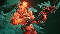 Borderlands 3: Psycho Krieg and the Fantastic Fustercluck DLC - PC