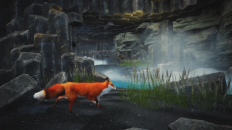 Spirit of the North - PlayStation 5