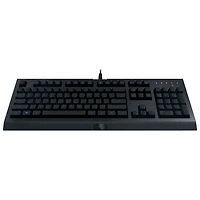 Razer Level Up PC Gaming Bundle