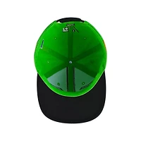 Hunter x Hunter Gon Flat Brim Snapback Hat