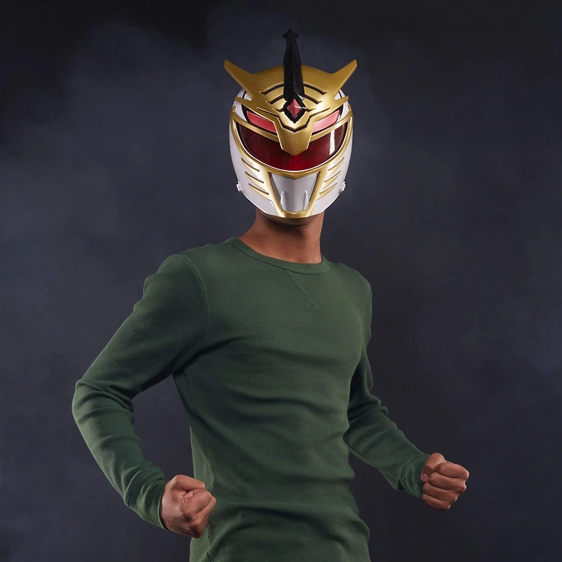 Hasbro Power Rangers Lightning Collection Premium Mighty Morphin Lord Drakkon Full Scale Helmet GameStop Exclusive