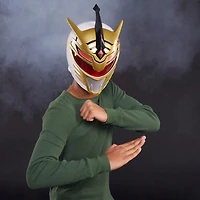 Hasbro Power Rangers Lightning Collection Premium Mighty Morphin Lord Drakkon Full Scale Helmet GameStop Exclusive