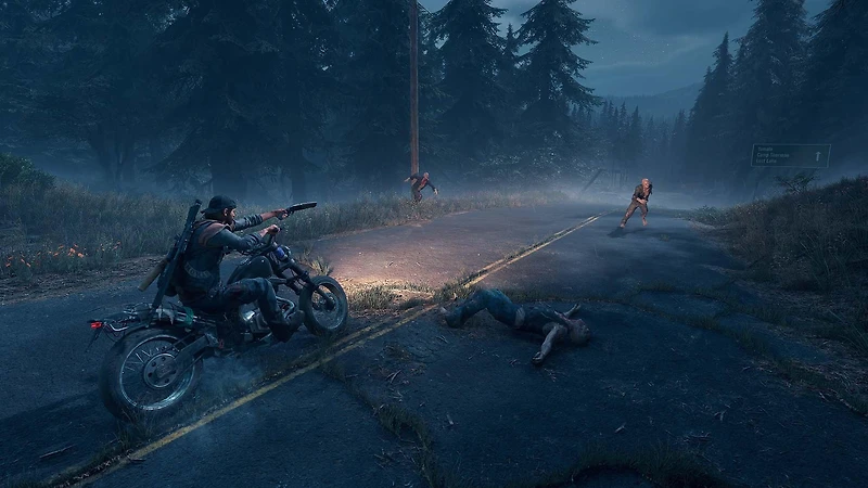 Days Gone - PC Steam
