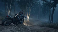 Days Gone - PC Steam