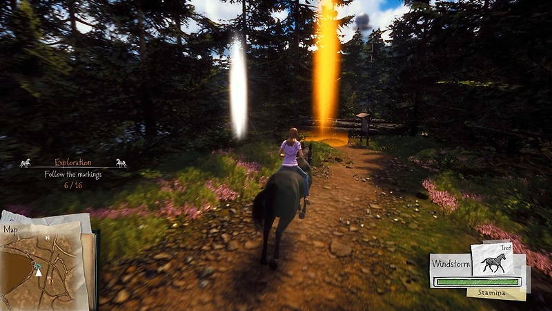 Windstorm: Start of a Great Friendship - Nintendo Switch