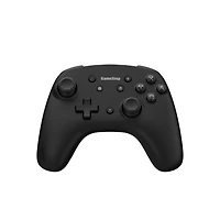 GameStop Wireless Gaming Controller for Nintendo Switch, PC