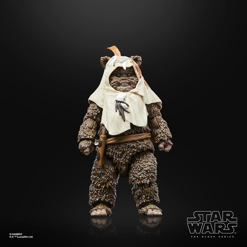 Hasbro Star Wars The Black Series Star Wars: Return of the Jedi Paploo 6-in Action Figure