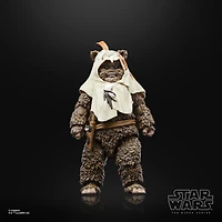 Hasbro Star Wars The Black Series Star Wars: Return of the Jedi Paploo 6-in Action Figure