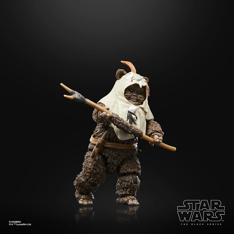 Hasbro Star Wars The Black Series Star Wars: Return of the Jedi Paploo 6-in Action Figure