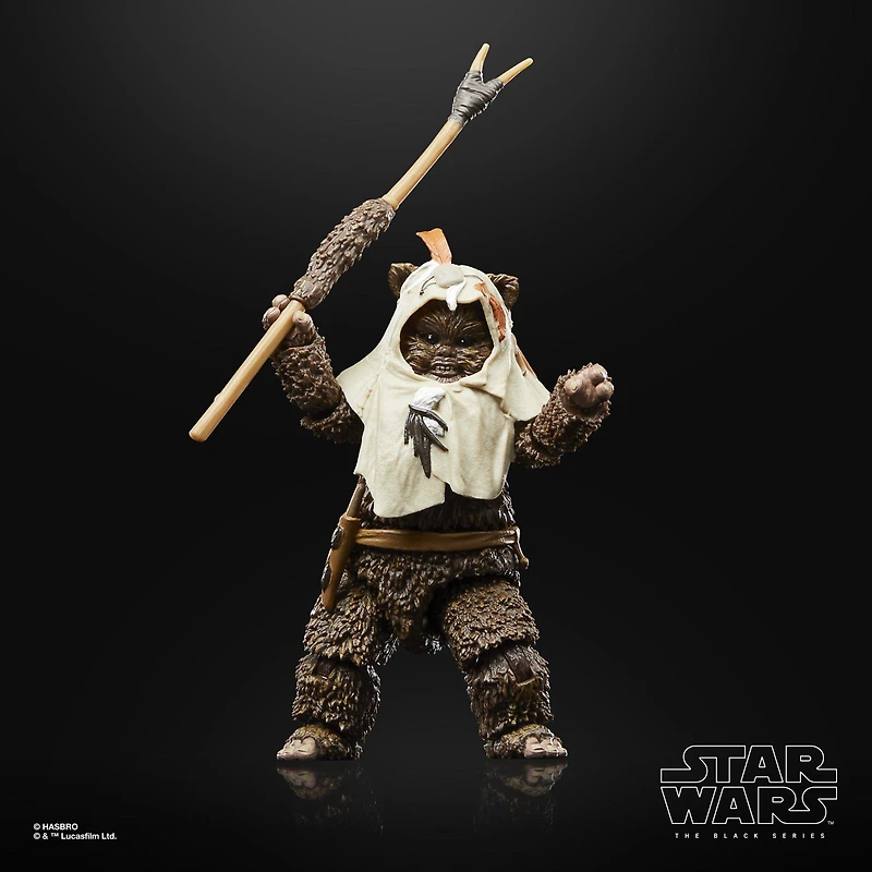 Hasbro Star Wars The Black Series Star Wars: Return of the Jedi Paploo 6-in Action Figure