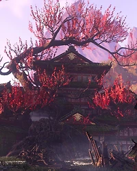 Wild Hearts - Xbox Series X