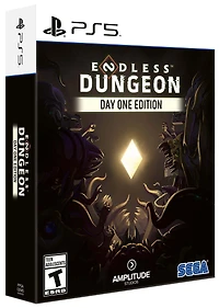 ENDLESS Dungeon - PlayStation 5