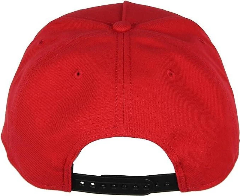 Pokemon Pokeball Adult Flatbill Snapback Hat
