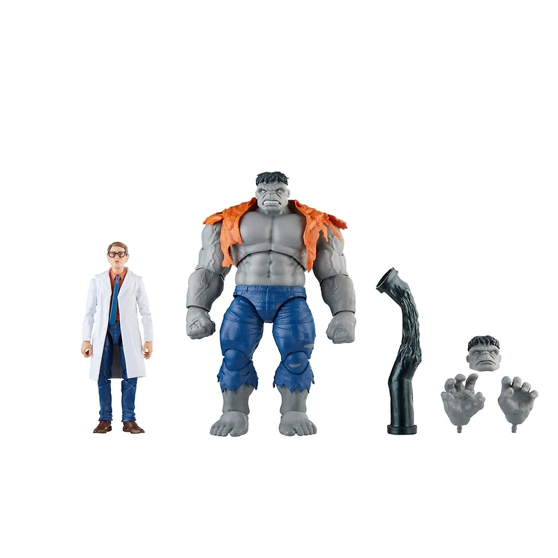 Hasbro Marvel Legends Series Avengers: Beyond Earth's Mightiest Gray Hulk and Dr. Bruce Banner 6-in Action Figure Set