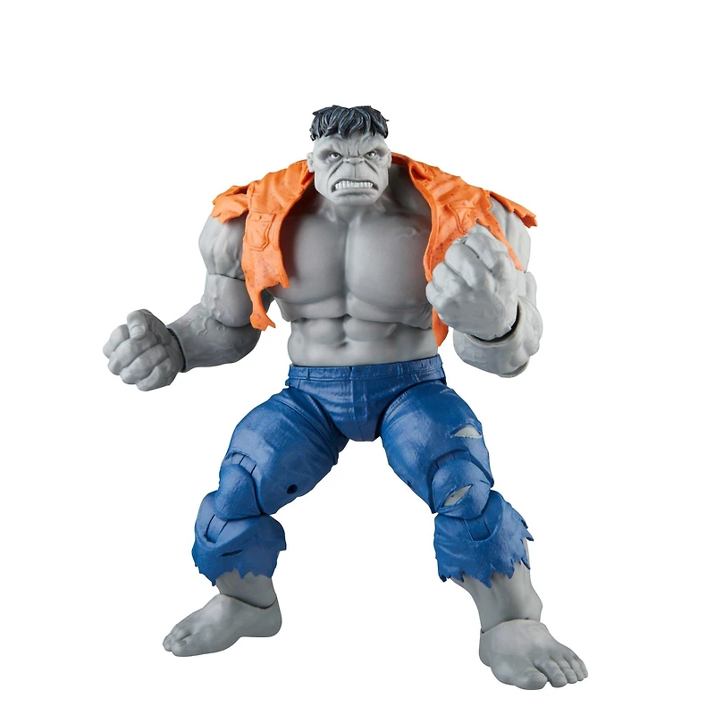 Hasbro Marvel Legends Series Avengers: Beyond Earth's Mightiest Gray Hulk and Dr. Bruce Banner 6-in Action Figure Set