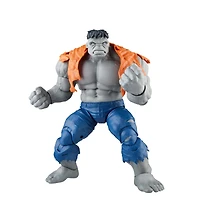 Hasbro Marvel Legends Series Avengers: Beyond Earth's Mightiest Gray Hulk and Dr. Bruce Banner 6-in Action Figure Set