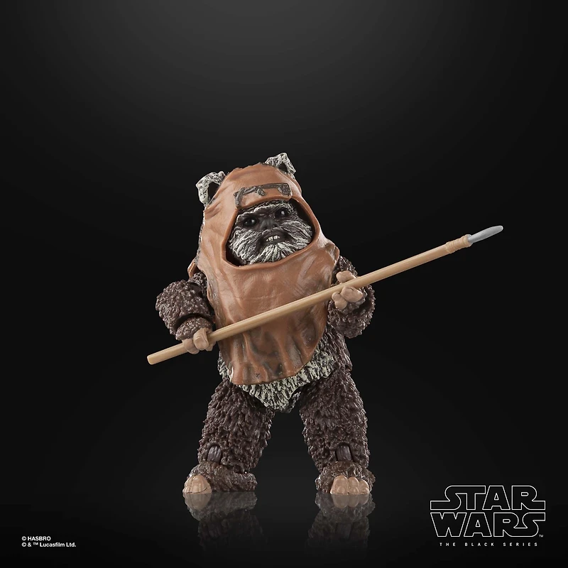 Hasbro Star Wars: The Black Series Star Wars: Return of the Jedi Wicket 6-in Action Figure