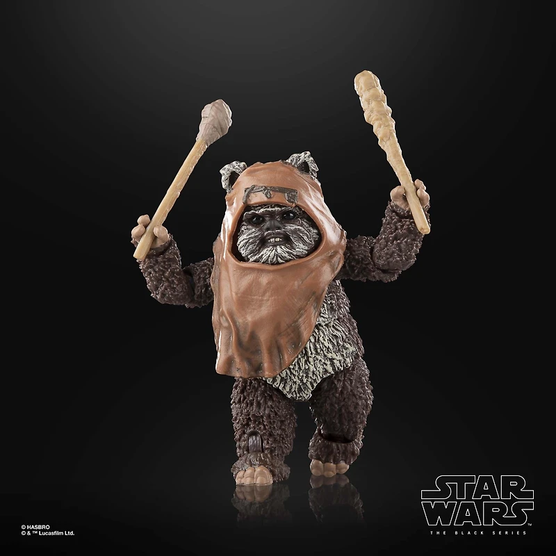 Hasbro Star Wars: The Black Series Star Wars: Return of the Jedi Wicket 6-in Action Figure