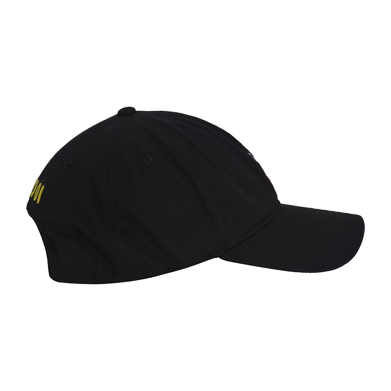 Sonic with Tokens Unisex Dad Hat