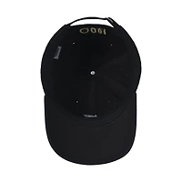 Sonic with Tokens Unisex Dad Hat