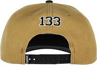 Pokemon Eevee Embroidered Snapback Hat